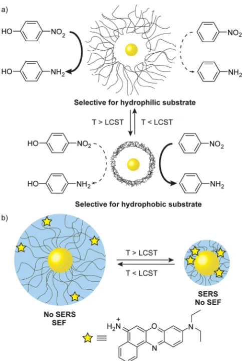Figure 6. Nanoparticle property switching using thermosensitive polymerligand shells. a) Switching substrate selectivity for a catalytically active ‘yolk–shell’ AuNP coated with poly(N-isopropyl acrylamide).[37] b) Temperature con-trolled swelling of a poly(N-isopropyl acrylamide) ligand shell simultaneouslyalters surface-enhanced Raman scattering (SERS) and surface enhanced fluo-rescence (SEF) effects for an intercalated dye.[38]