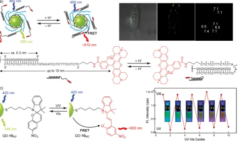 Figure 7. Nanoparticle properties controlled by molecular switches. a) Proton-triggered conformational switching modulates FRET efficiency between a QDdonor (green) and molecular acceptor (red), producing a ratiometric response that can be exploited for in