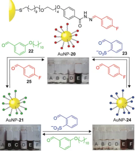Figure 9. DNA-templated formation of dynamic covalent imine AuNP mono-layers. Monolayer composition depends on the specific base pair sequenceof the DNA template introduced; negligible imine formation is observed inthe absence of DNA.[57]