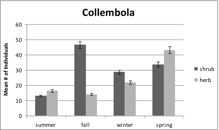 Figure 5.   Mean number observations of Hemiptera per season/per vegetation type.