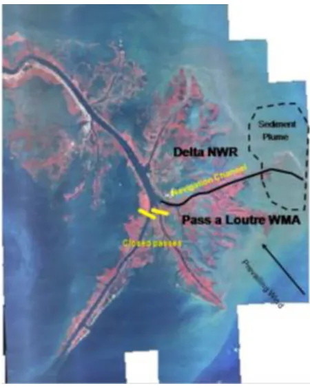 Figure 1.2 shows that the Mississippi River sediment plume has two patterns of 