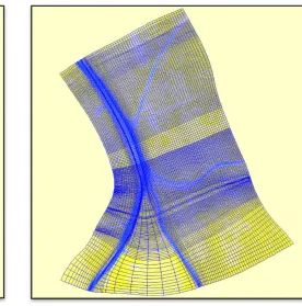 Figure 4. 2. Delft3D Curvilinear grid used for Head of Passes numerical  