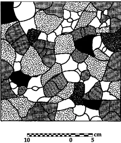 Fig. 1. Dimensions of scale concepts.