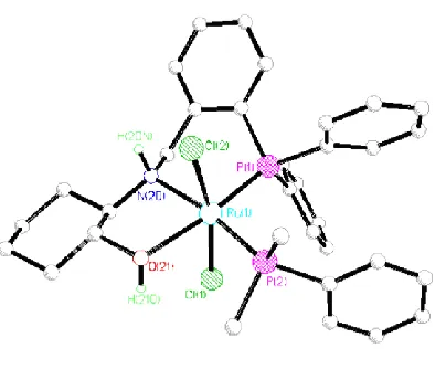 Figure 6. X-ray structure of complex 24. THF and hydrogen atoms (except NH and OH) are omitted for clarity