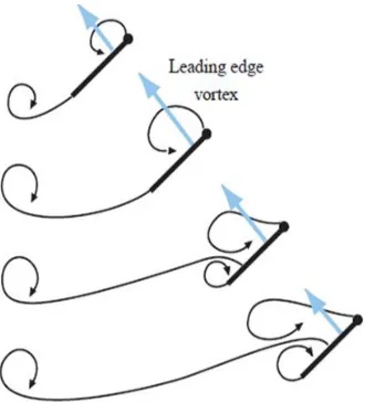 Figure 1.5. Delayed stall and wake capture mechanism [3] 