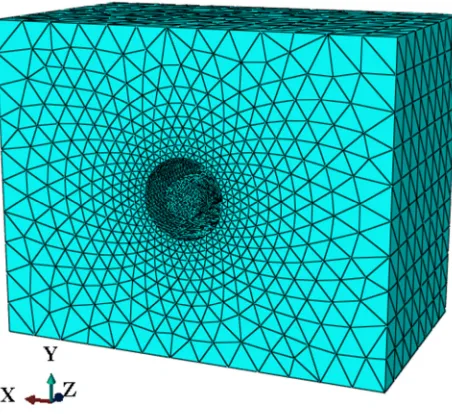 Figure 3.5: The fluid domain after meshing 
