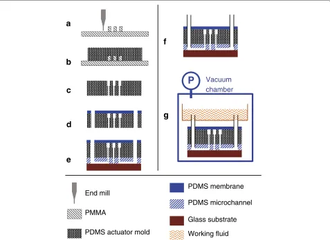 Figure 3 Fabrication process of our device.(f)replicated PDMS actuator layer. (a) Micromachinning of PMMA