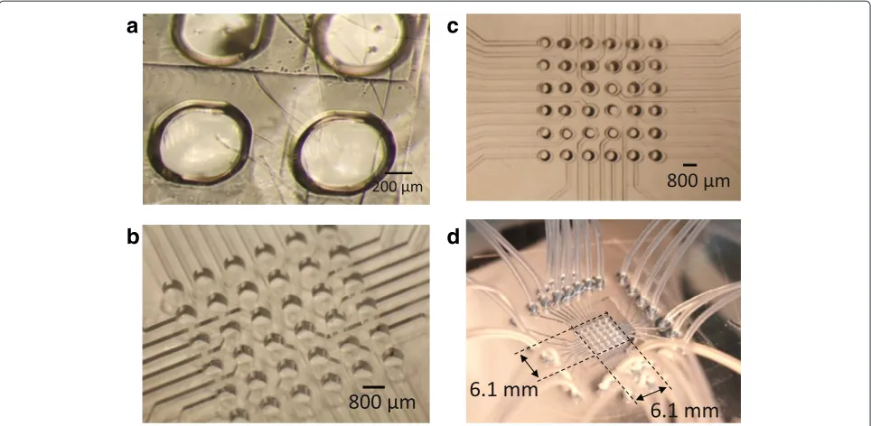 Figure 4 Snapshots during the fabrication process including membrane actuator array (a), microchannel layer before (b) and after holepunching (c), and assembled device (d).