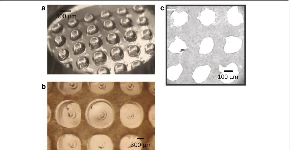 Figure 7 Displacement variations of PDMS actuator over time with air, DI water, and glycerin used as working fluids.