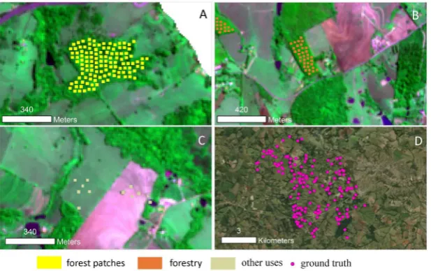 Figure 2. Construction of samples set: (A) Forest patches; (B) Forestry; (C) Other uses; (D) Ground truths