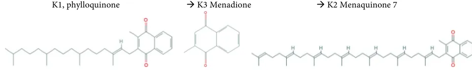 Figure 1. Three Forms and Metabolism of Vitamin K. Researchers confirmed the conversion of vitamin K1 through intermediate loquinone (VK1) intake and that there are two routes of accumulationK3 to end product K2 takes place in humans [14]