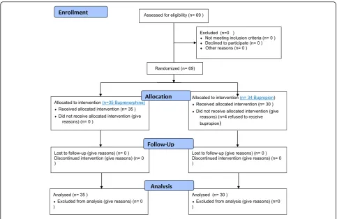 Fig. 1 Consolidated Standards of Reporting Trials (CONSORT) flowchart of the patients in this trial