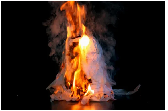 Figure 4.  Burn / Decay, 2011, digital photograph, 20” x 30”  
