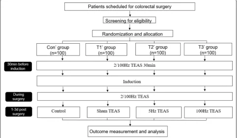 Fig. 2 Part 2 study design flowchart. For group details, see Table 2. d days, TEAS transcutaneous electrical acupoint stimulation