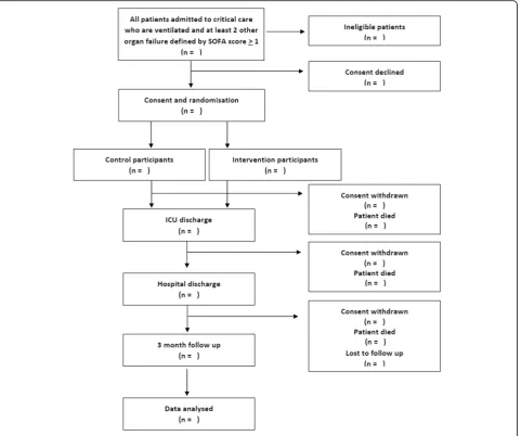 Fig. 1 Study flow diagram. ICU intensive care unit, SOFA Sequential Organ Failure Assessment