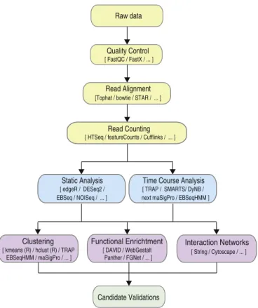 Fig. 1. RNA-seq analysis workﬂow.