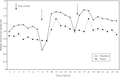 Fig. 2. Mean hourly methane emission (l�allowed to thaw prior to feeding, either in chambers (unbroken line) or in the polytunnel (dashed line), showing time offeeding (animal�h) from sheep fed a maintenance diet of previously frozen grass, which was�).
