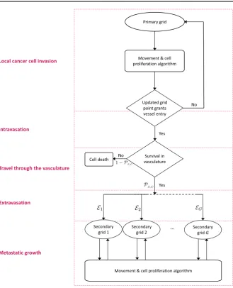 Fig. 5 Flow chart of the metastatic algorithm in our hybrid model. At each time step, each cancer cell onthe primary grid moves and proliferates according the ‘Movement & cell proliferation algorithm’ explainedin detail in the text