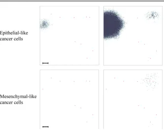Fig. 9 Simulation results on secondary grid representing the bones. Distribution of epithelial-like cancercells (upper panels) and mesenchymal-like cancer cells (lower panels) at the secondary site representingthe bones is shown at times 24,000Δt (left) an
