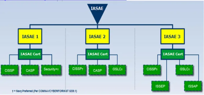 Figure 7 provides IASAE categories and is available in the following link: 