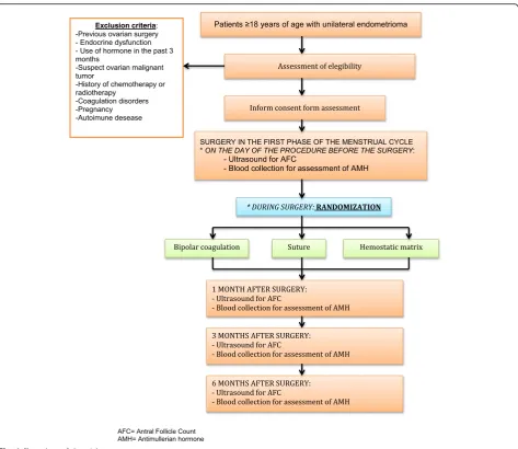 Fig. 1 Flow chart of the trial