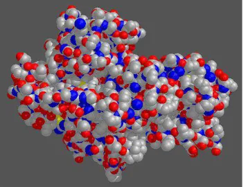Figure 1.4: Tertiary structure of hexokinase.