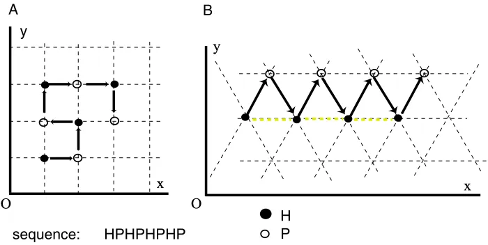 Figure 1.6: (A) Folding of an HP sequence in a rectangular lattice. For the particular caseof (HP)n sequence there is no topological contact between H monomers