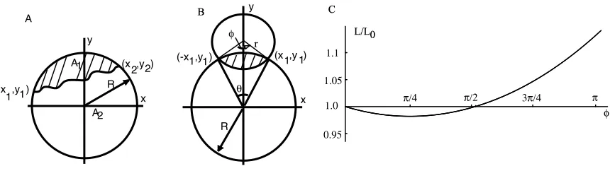 Figure 2.3: The minimum length path that divides a circle into two regions with a ﬁxed