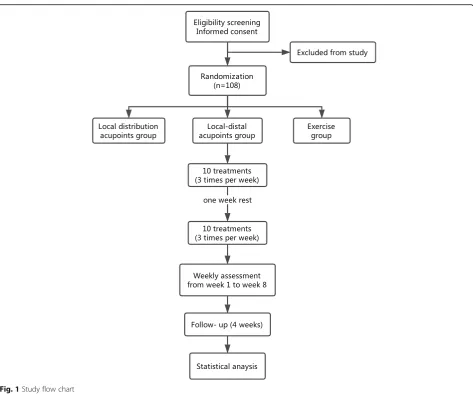 Fig. 1 Study flow chart