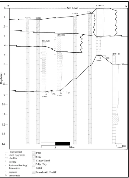 Figure 1.8 – Cross section includes cores from the USACE database, summer fieldwork 2003, and Penland et.al
