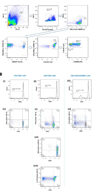 Figure 2.5. Fluorescence-activated cell sorting (FACS) gating strategy for proliferation assay 