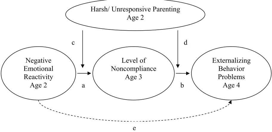 Figure 1. An incremental risk model explaining the development of externalizing behavior 