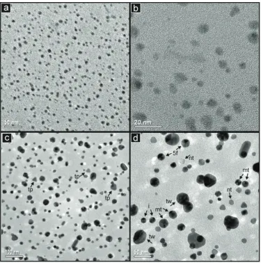 Fig. 3Low and intermediate magniﬁcation TEM images of the (a, b) Ag/PVA and (c, d) Au/PVA samples