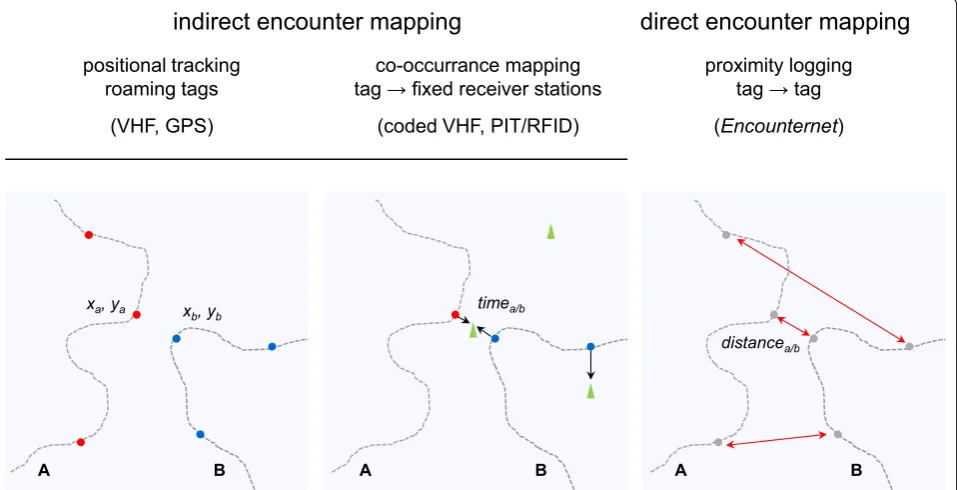 Fig. 1 Schematic illustrating the basic principles of direct and indirect encounter mapping