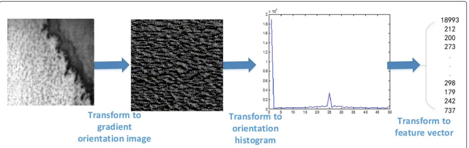 Fig. 3 Process to convert defect image to HOG feature vector