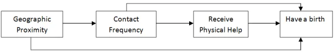 Figure 1: Hypothesized causal pathway of kin influence 