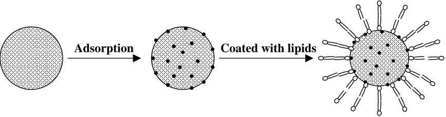 Fig. 4.1.  Schematic representation of formation of phospholipid coated mesoporous silica nanoparticles as drug carriers