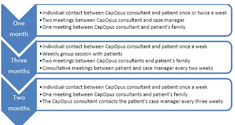 Table 1: Criteria for inclusion and exclusion in the CapOpus trial.