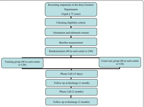 Fig. 2 Flow diagram of the study protocol