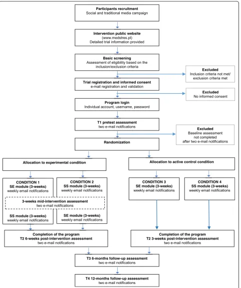 Fig. 3 Study flow. SE, Self-efficacy enhancement module; SS, Social support enhancement module