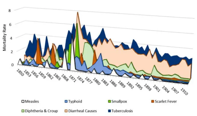 Figure 2: Mortality rates for selected causes in the total population per 1,000, 1850−1912 