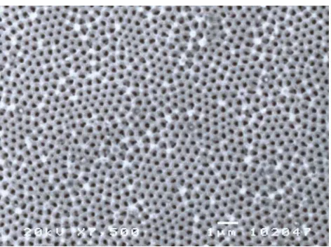 Figure 1.2 SEM image of Anodic Alumina membrane  made in our lab 