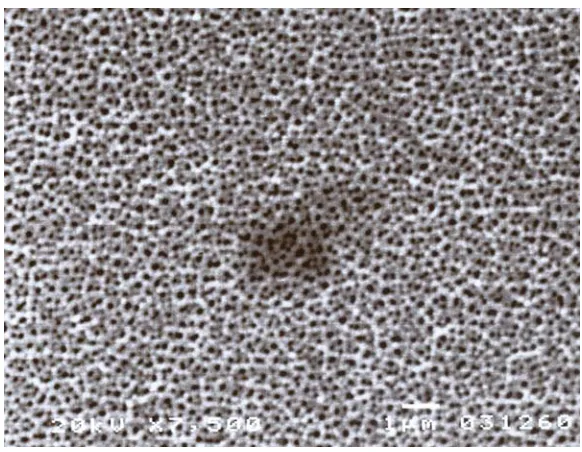 Figure 2.2. 