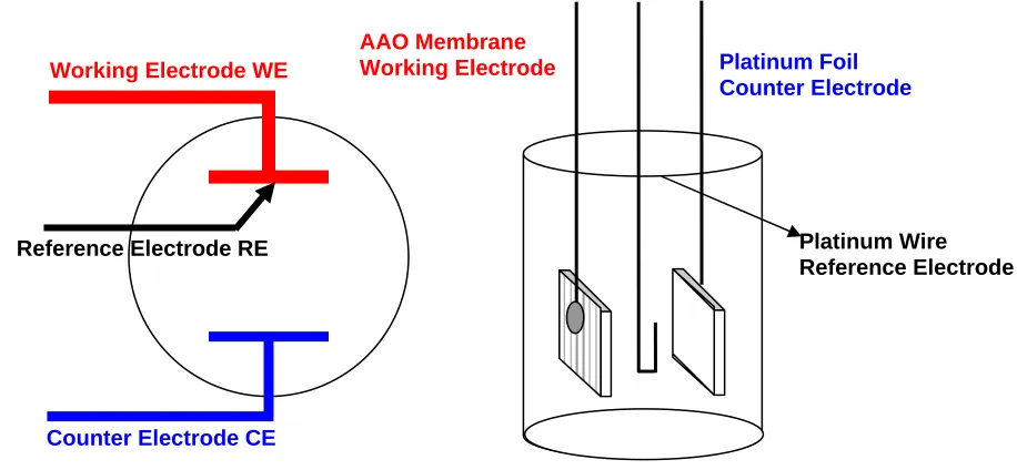 Figure 2.3 Schematic Diagram of Electrochemical Cell  