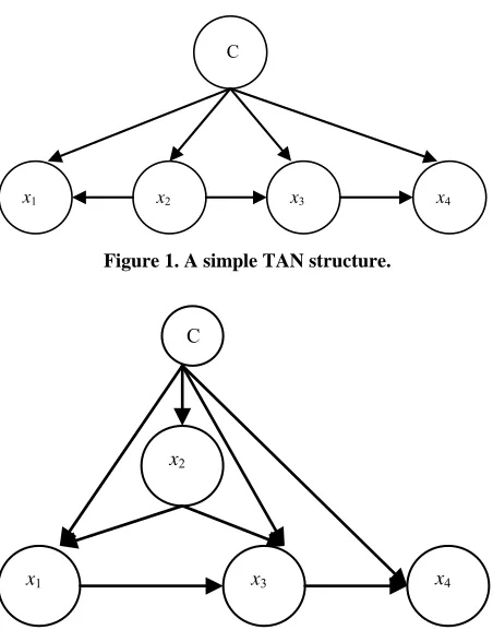 Figure 1. A simple TAN structure. 