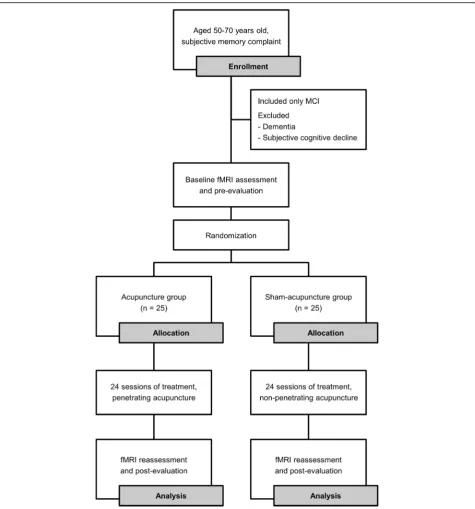 Fig. 1 Diagram of the study flow. MCI, mild cognitive impairment; fMRI, functional magnetic resonance imaging