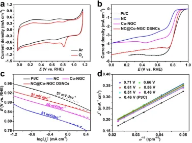 Figure 4. (a) CVs of NC@Co-NGC DSNC catalysts in 0.1 M KOH solution saturated by Ar or 