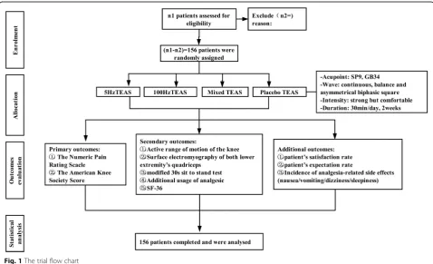 Fig. 1 The trial flow chart