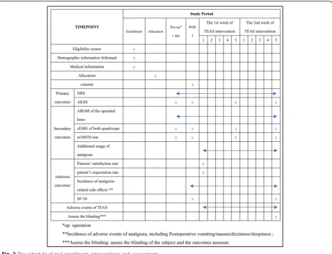 Fig. 2 The schedule of trial enrollment, interventions and assessments