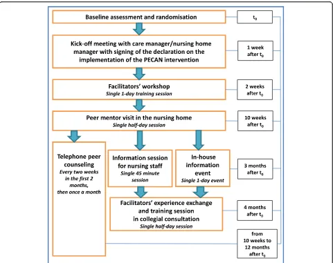 Fig. 3 Overview of the implementation approach. PECAN Participation Enabling Care in Nursing